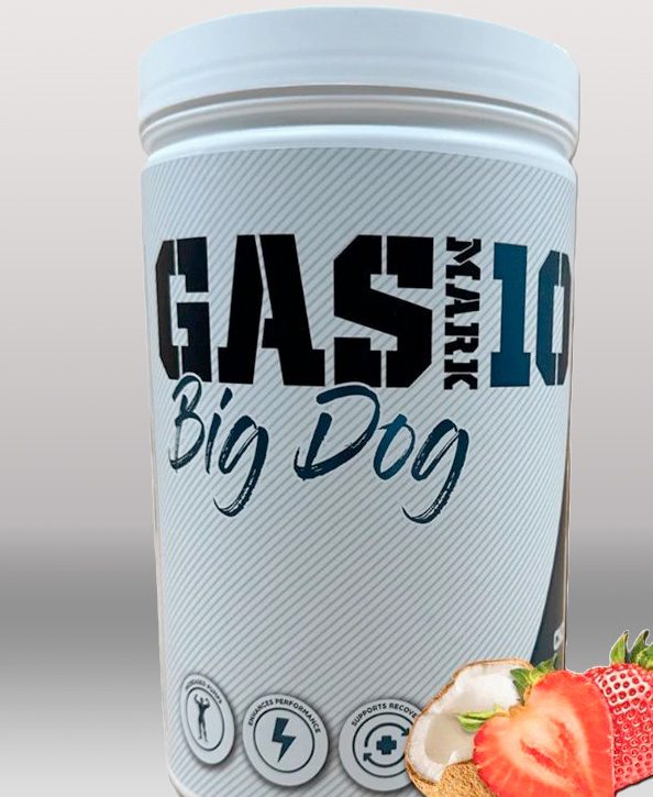 Big Dog - Gasmark10