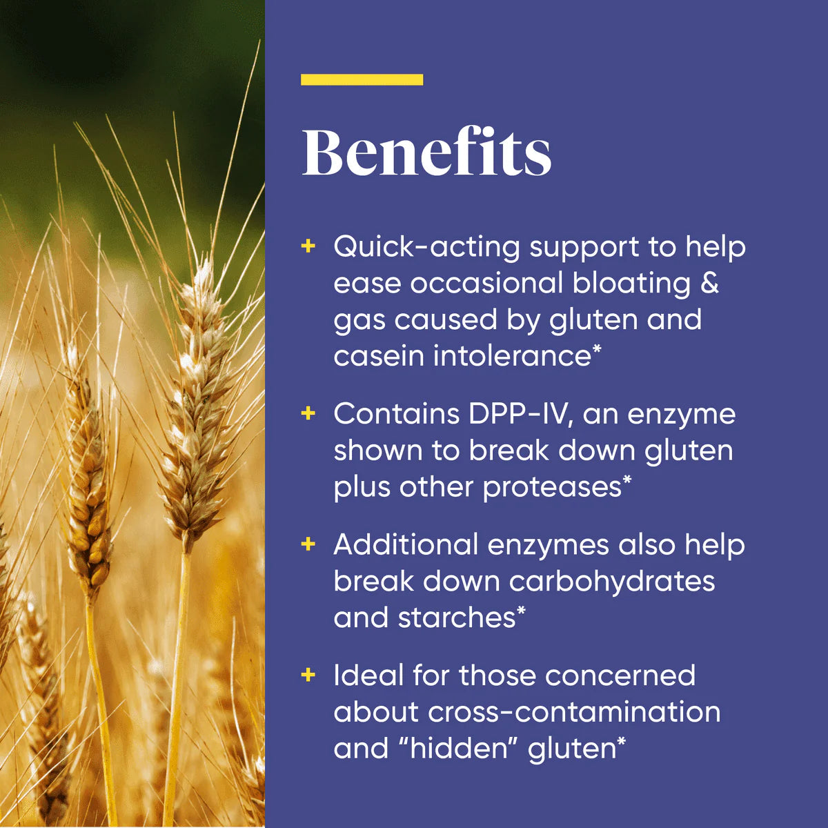 GlutenEase Ekstra strength - Enzymedica