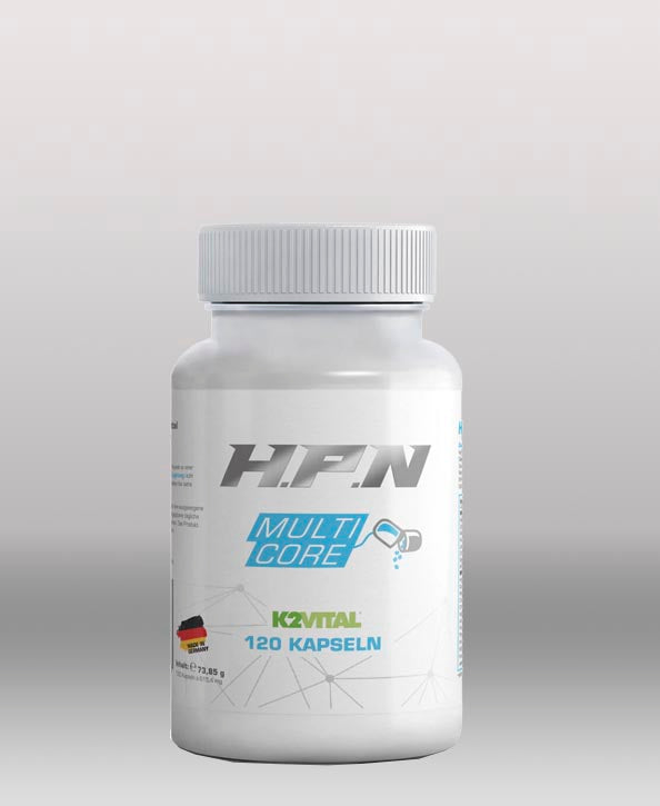 hpn-multi-core
