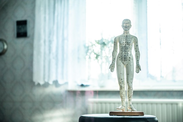 Osteopati i hverdagen på Fyn med fokus på erfaringer og muligheder